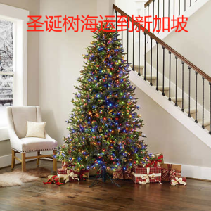 圣诞树海运到新加坡